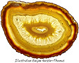 illustration tranche agate polie