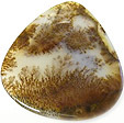agate scenique