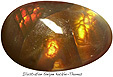 illustration agate de feu mexicaine