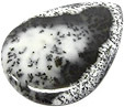 dendritic agate