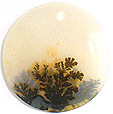 agate paysage inde