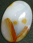 agate americaine polka dot