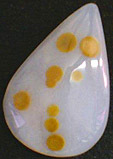 agate polka dot � pois