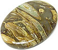 agate xyloide bois fossilis�