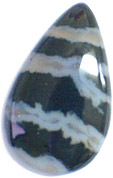 agate zebree