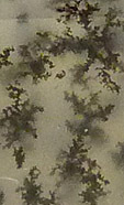agate inclusions oxyde manganese