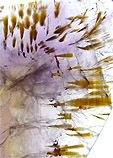 inclusions de goethite dans amethyste