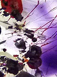 hematite inclusions in amethyst