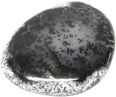 dendrite agate dendritique