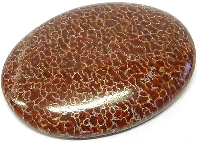 os de dinausore fossilise - fossilized dinosaur bone