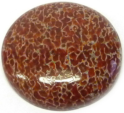 os de dinausore fossilise - fossilized dinosaur bone
