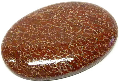 os de dinausore fossilise - fossilized dinosaur bone