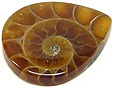 calcite dans madagascar ammonite