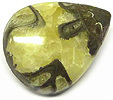 ammonite calcite pyrite grande-bretagne