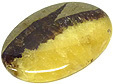 Madagascar septaria avec calcite