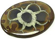 maroc septaria avec calcite blanche