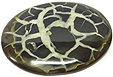 Maroc septaria avec calcite
