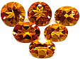 citrine orang�e palmeira