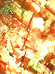 inclusions hematite dans pierre de soleil