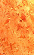 pierre de soleil � hematite