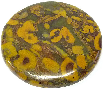 jaspe conglom�r� - conglomerate jasper