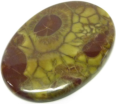 jaspe mexique - mexican jasper