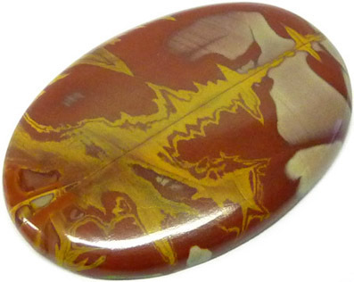 jaspe noreena jasper