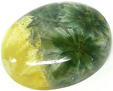 jaspe ocean jasper