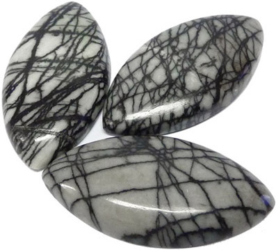 jaspe zebre - zebra jasper