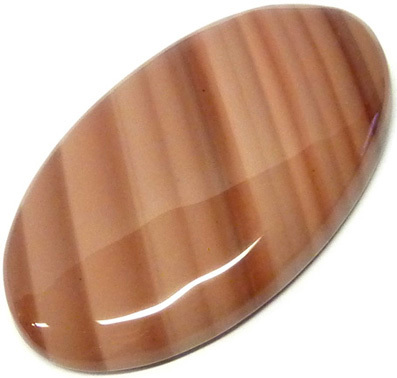jaspe zebre - zebra jasper