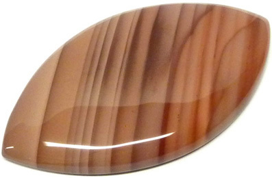 jaspe zebre - zebra jasper