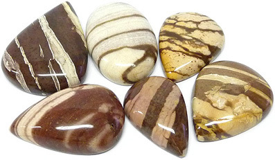 jaspe zebre - zebra jasper