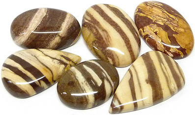 jaspe zebre - zebra jasper