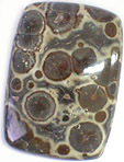 jaspe asteroide australie