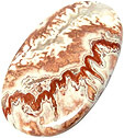 jaspe rosetta