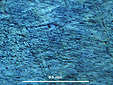 labradorite oeil de chat inclusions parall�les