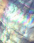 irisations dans la labradorite