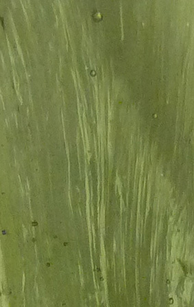 tourbillons de coul�e et bulles dans la Moldavite