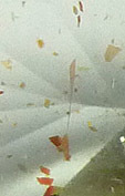 oligoclase tanzanie � inclusions d'h�matite