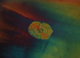 couleurs interference entre polariseurs crois�s