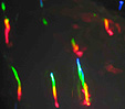 irisations ou iridescence arc en ciel