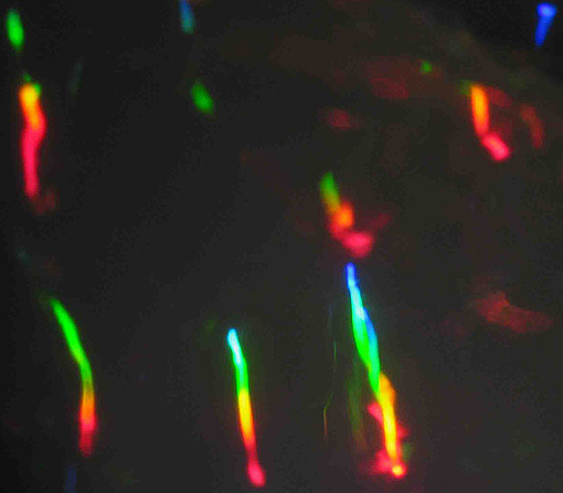 irisations ou iridescence arc en ciel