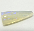 rostre belemnite opalisee
