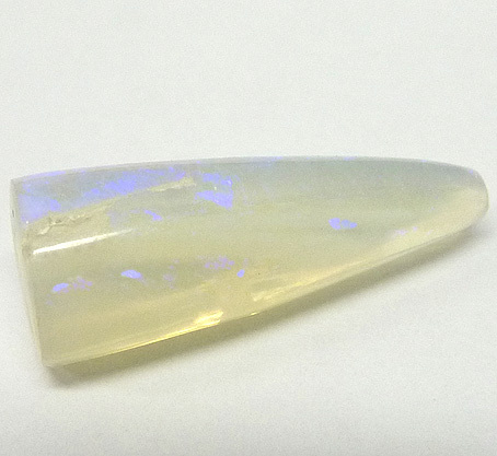 rostre belemnite opalisee