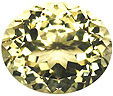 orthose jaune de Birmanie