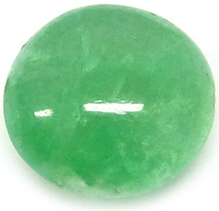 orthose verte vietnam