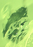 peridot inclusions halo n�nuphar