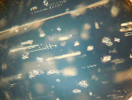 inclusions mille-pattes dans la pierre de lune