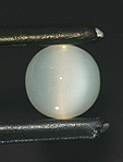 cat s eye prehnite oeil de chat australie