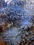 dumortierite inclusions dans quartz